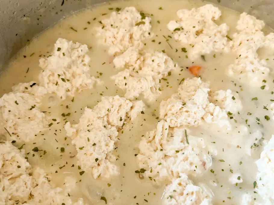 dumplings before steaming