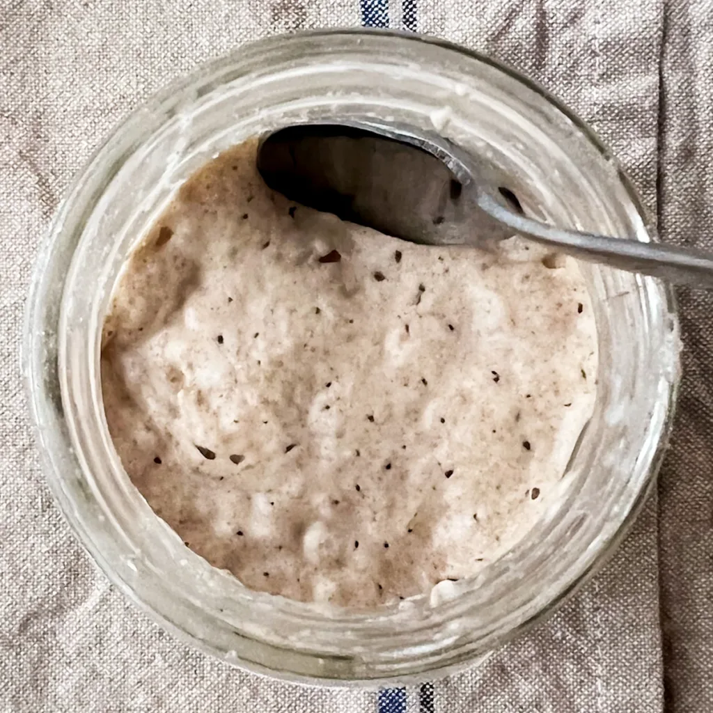 sourdough starter