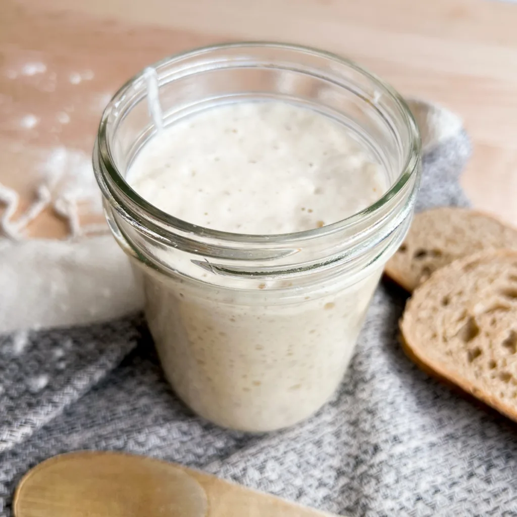 sourdough starter mad with bread flour