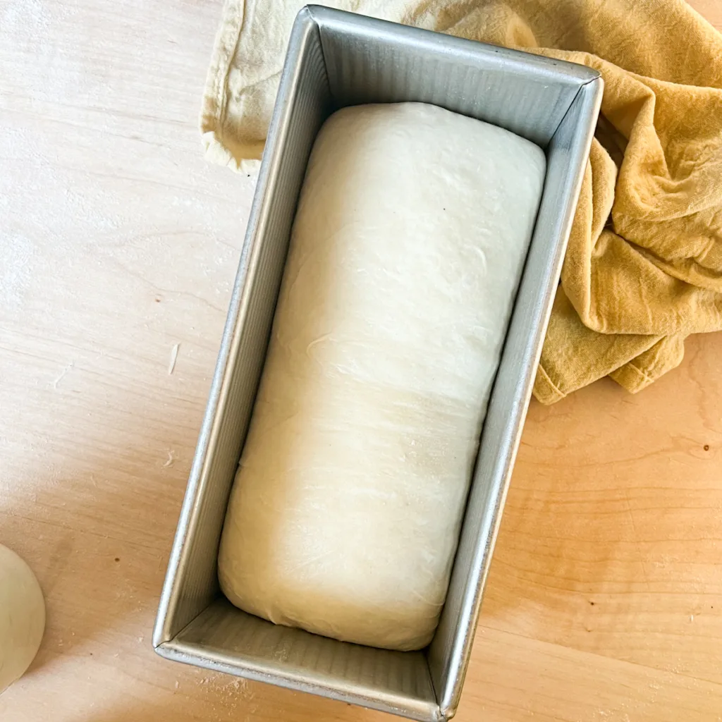 homemade sandwich bread after second rise.