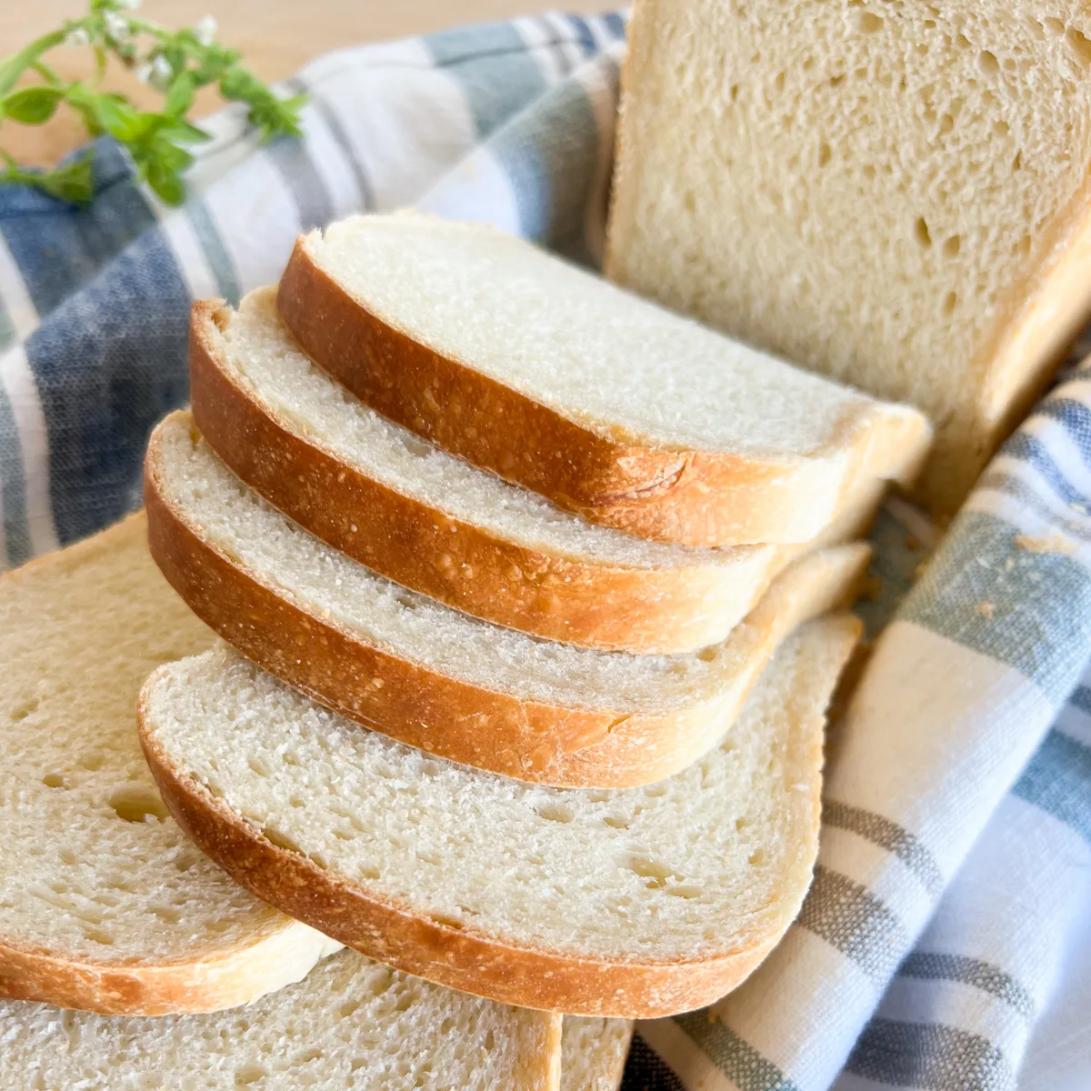 Sourdough Sandwich Bread Made in Motherhood