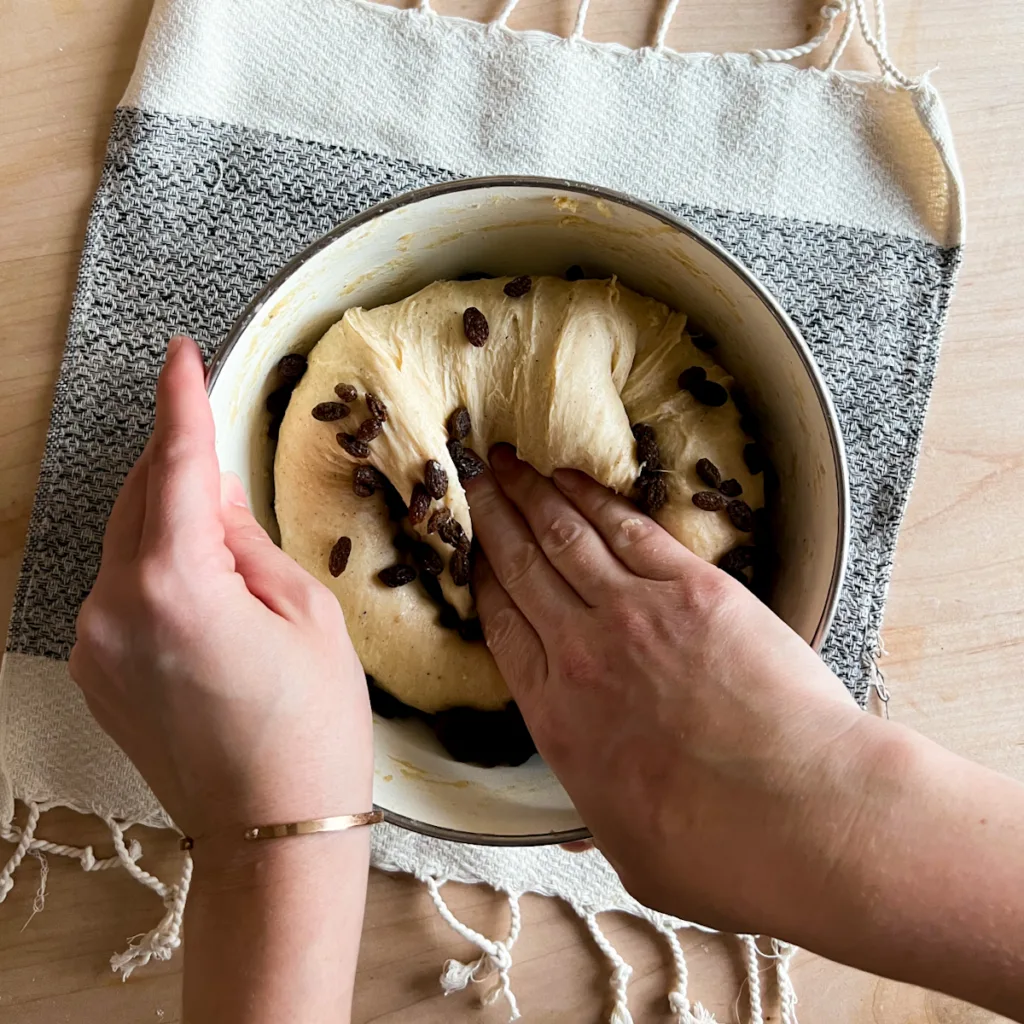 adding raisins to the dough