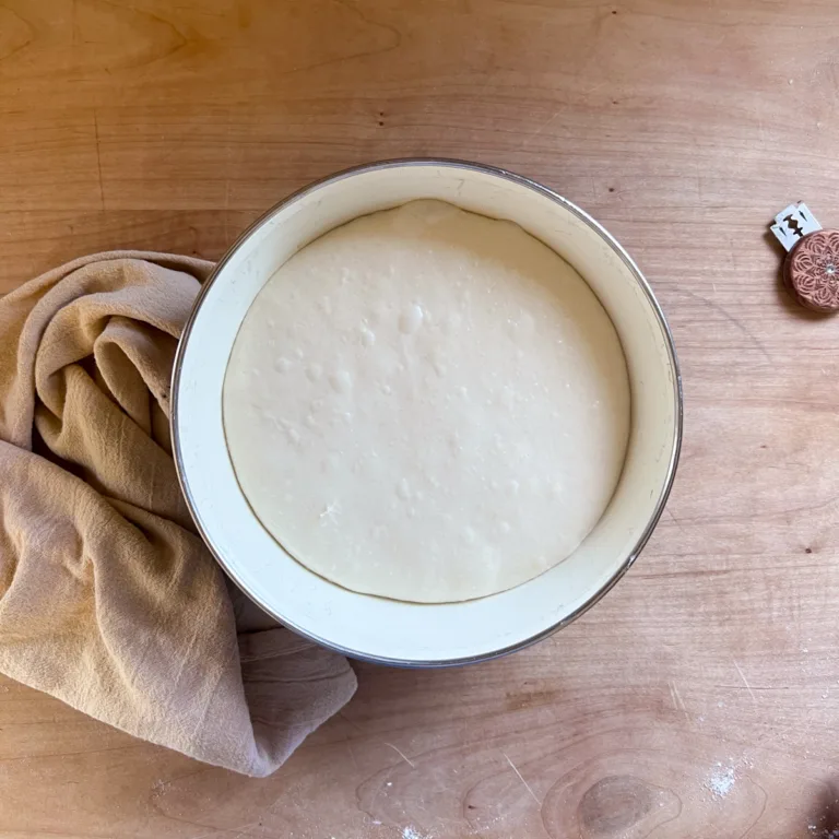 What the dough looks like after bulk fermentation.