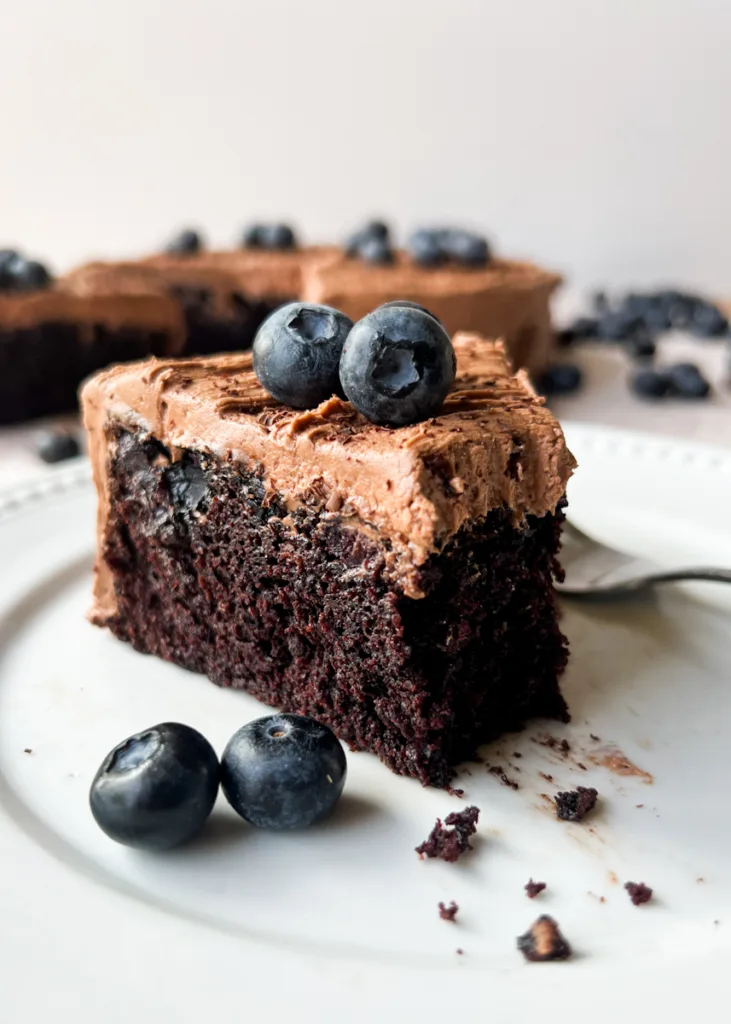 A slice of blueberry chocolate cake on a plate.