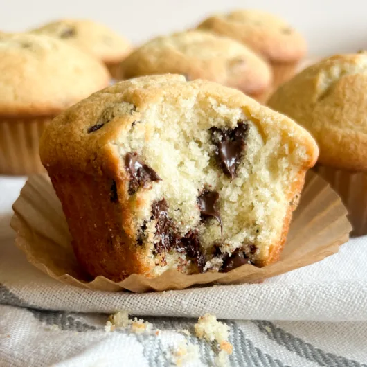 A sourdough chocolate chip muffin with a bite taken out of it.