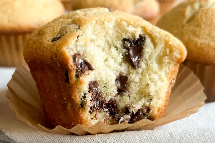 A sourdough chocolate chip muffin with a bite taken out of it.