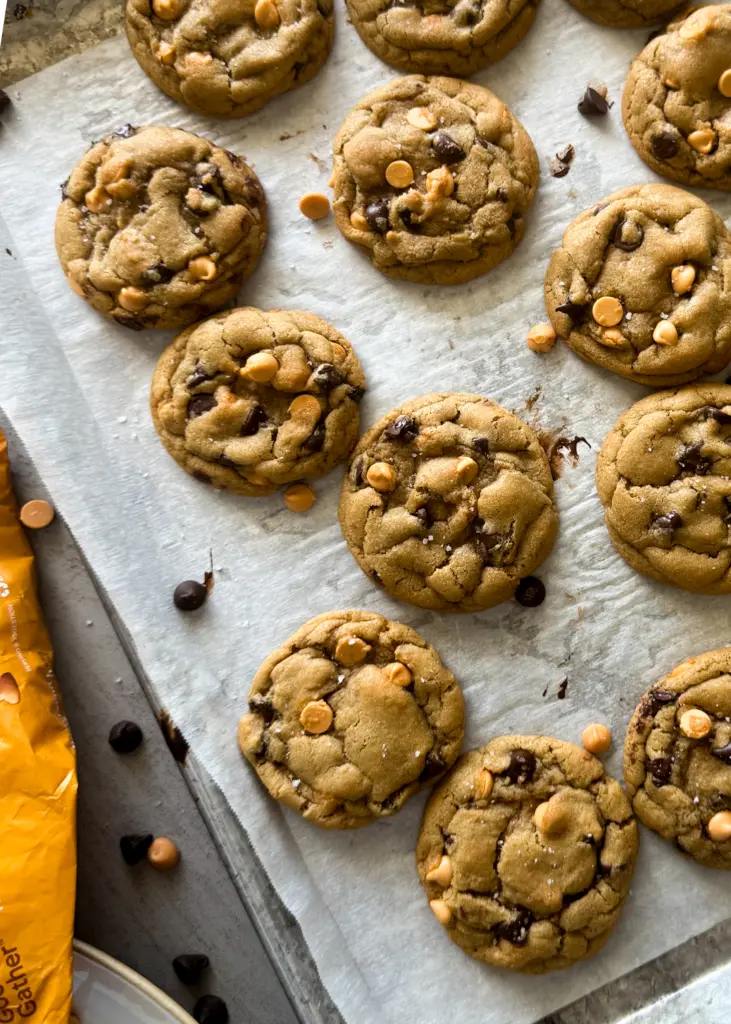 Overhead view of a batch of chocolate chip butterscotch cookies cooling on a parchment lined baking sheet.